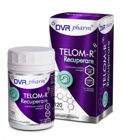 Fara Categorie - DVR TELOM-R RECUPERARE 120CP