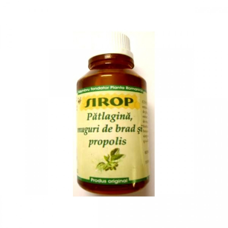 SIROPURI - ELIDOR SIROP BRAD PATLAGINA PROPOLIS PT DIABETICI 100 ML