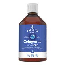 SUPLIMENTE ARTICULATII ANTIINFLAMATOARE - FAUNUS COLAGENUS ARTICULATII FORTE 500 ML