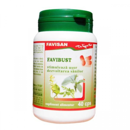 SUPLIMENTE DIVERSE - FVN FAVIBUST 40CP