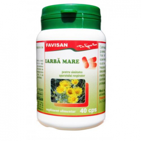 SUPLIMENTE DIVERSE - FVN IARBA MARE 40CP