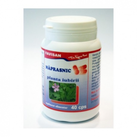 SUPLIMENTE ANTIOXIDANȚI-ANTITUMORAL - FVN NAPRAZNIC 40CP
