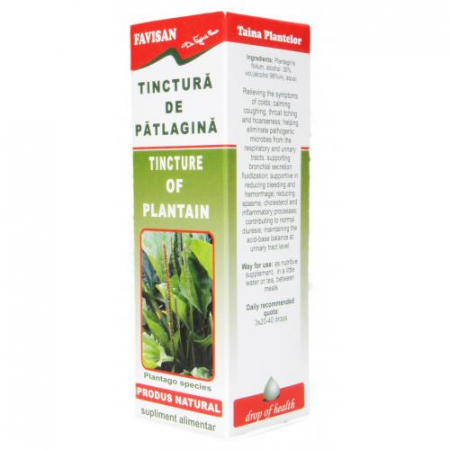 TINCTURI - FVN TIN PATLAGINA