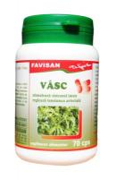 CREME ANTIINFLAMATOARE-CIRCULAȚIE - FVN VASC 70CP