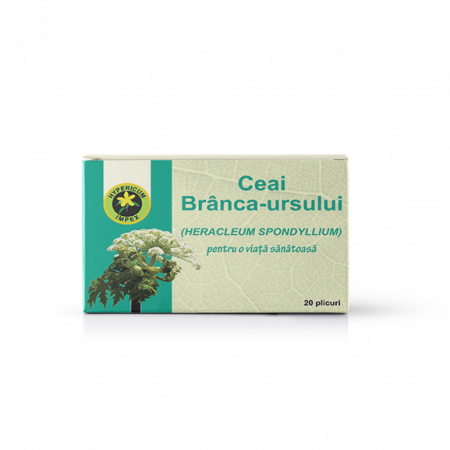 CEAIURI - HIP CEAI BRANCA URSULUI DZ