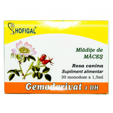 GEMODERIVATE - HOF GEMO MACES