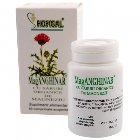 SUPLIMENTE HEPATOPROTECTOARE-BILA - HOF MAG ANGHINAR 60CP
