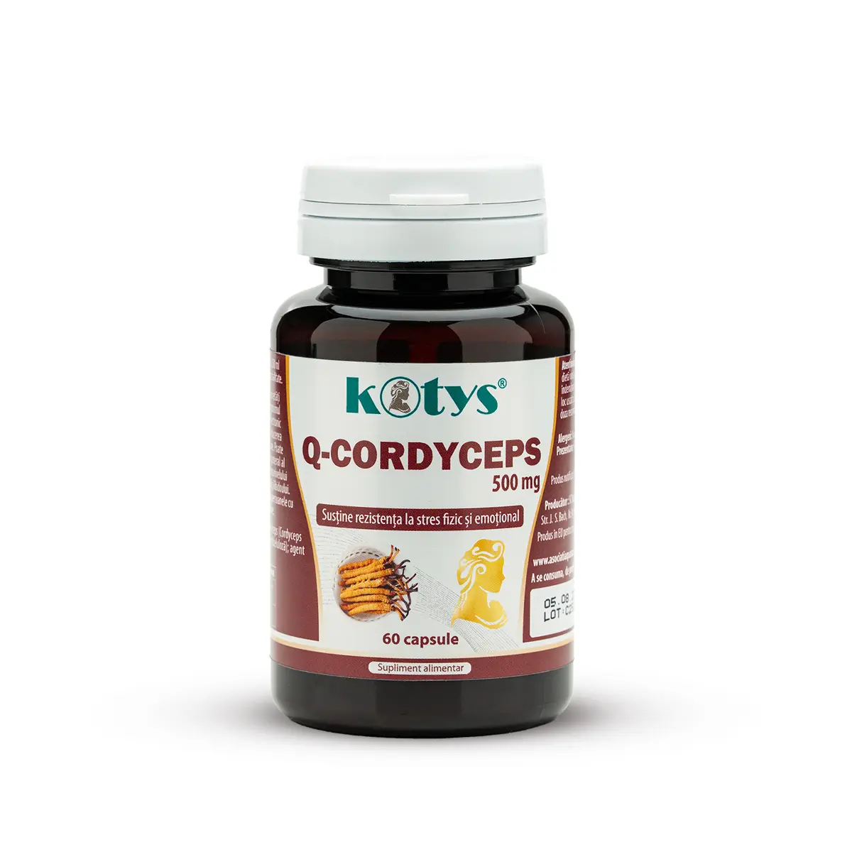 Import - KOTYS Q-CORDYCEPS ( CS-4) 500MG 60 CPS