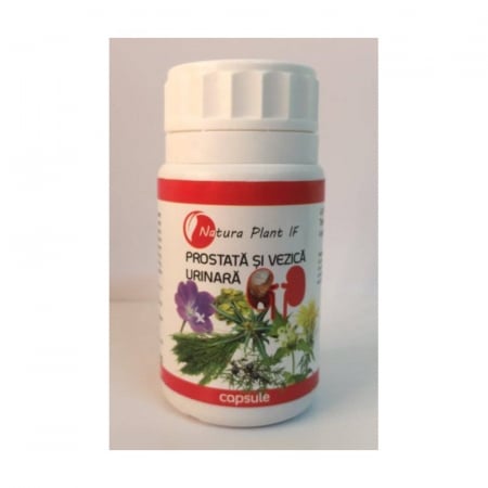 SUPLIMENTE PROSTATĂ - NP PROSTATA + VEZICA URINARA 90CP