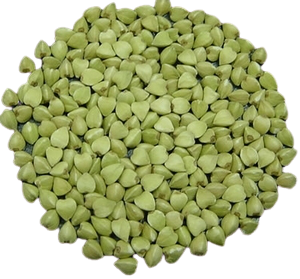 FOOD - NSP HRISCA CRUDA 500G