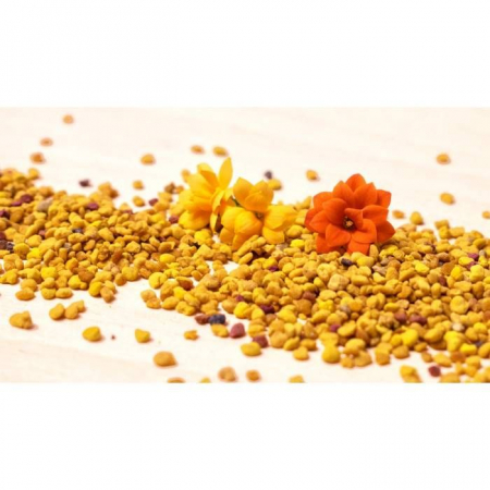 SUPLIMENTE TONICE - NSP POLEN GRANULE 100G