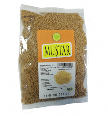 FOOD - NSP SEM MUSTAR 300G