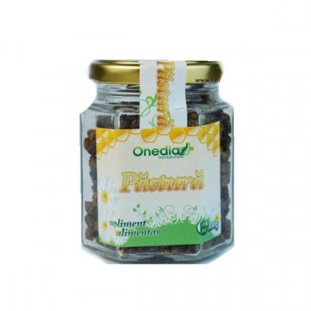 FOOD - ONE PASTURA 100G