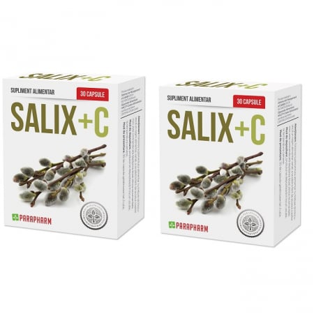 SUPLIMENTE ARTICULATII ANTIINFLAMATOARE - PARA SALIX + C 30CP 1+1