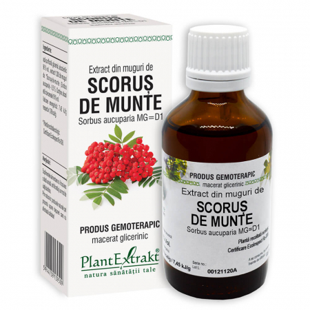 GEMODERIVATE - PL MED MG SCORUS DE MUNTE 50ML