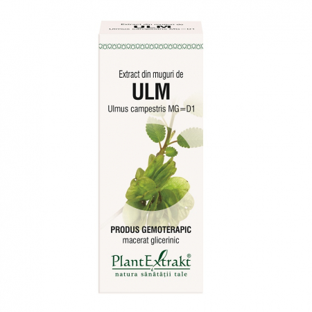 GEMODERIVATE - PL MED MG ULM 50ML