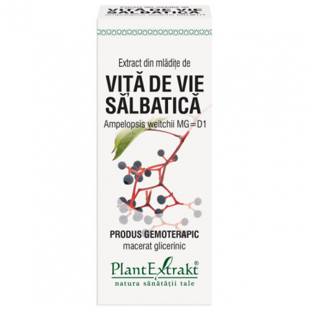 GEMODERIVATE - PL MED ML VITA VIE SALB 50ML