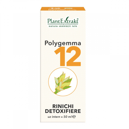 GEMODERIVATE - PL MED POLYGEMA 12 RINICHI DETOXIFIERE
