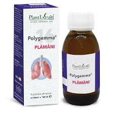 TINCTURI - PL MED POLYGEMA 16 PLAMANI 120 ML