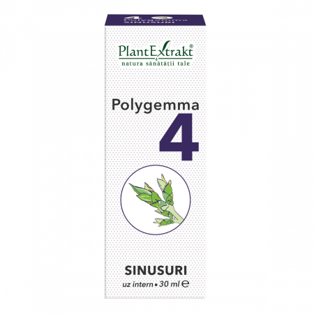GEMODERIVATE - PL MED POLYGEMA 4 SINUSURI
