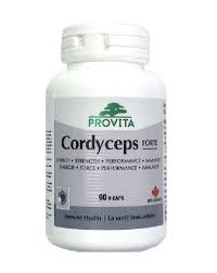 SUPLIMENTE ANTIOXIDANȚI-ANTITUMORAL - PROV CORDYCEPS CSM-2000