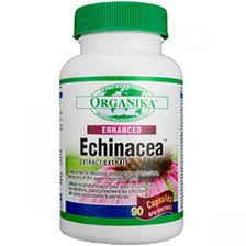 TINCTURI - PROV ECHINACEA 90CP