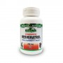 SUPLIMENTE ANTIOXIDANȚI-ANTITUMORAL - PROV RESVERATROL