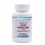SUPLIMENTE DIVERSE - PROV SUPER CHOLINE 90 CP