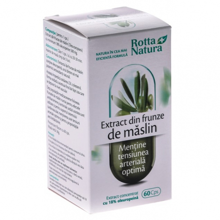 SUPLIMENTE MEMORIE SI CIRCULATIE - RN MASLIN FZ 60CP