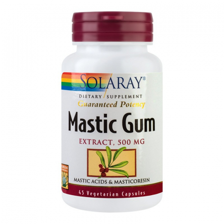 Produse - SECOM MASTIC GUM 45CP