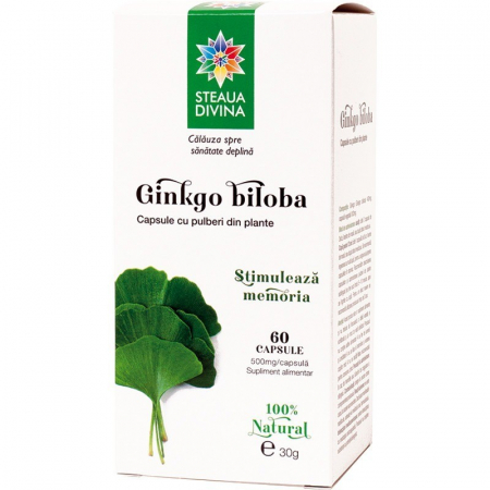 SUPLIMENTE MEMORIE SI CIRCULATIE - SR GINKO BILOBA 60CP