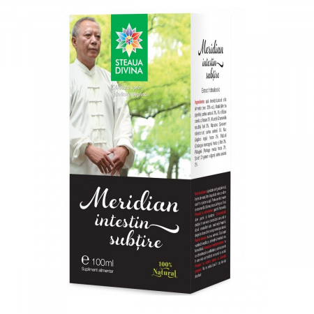 TINCTURI - SR MERIDIAN INTESTIN SUBTIRE 100ML