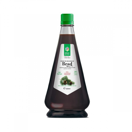 FOOD - SR SIROP BRAD MUG 520ML