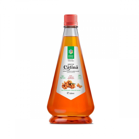 FOOD - SR SIROP CATINA 520ML