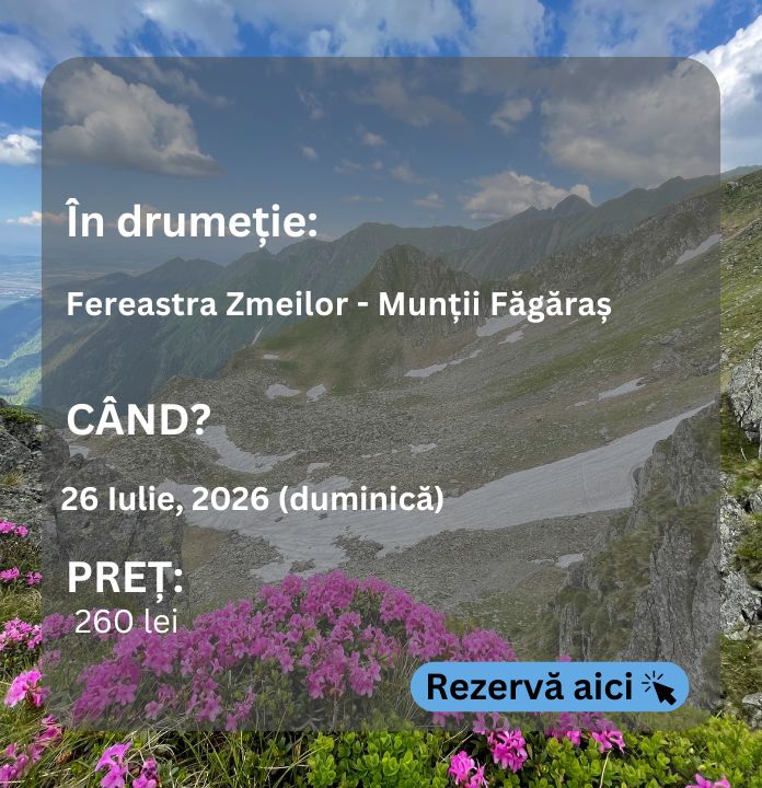 zmei