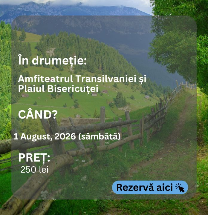 amfit
