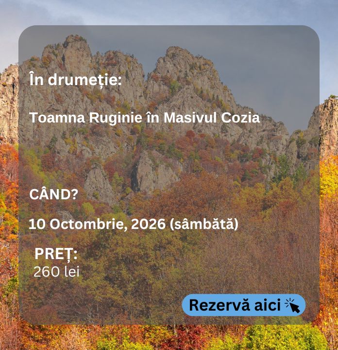 cozia