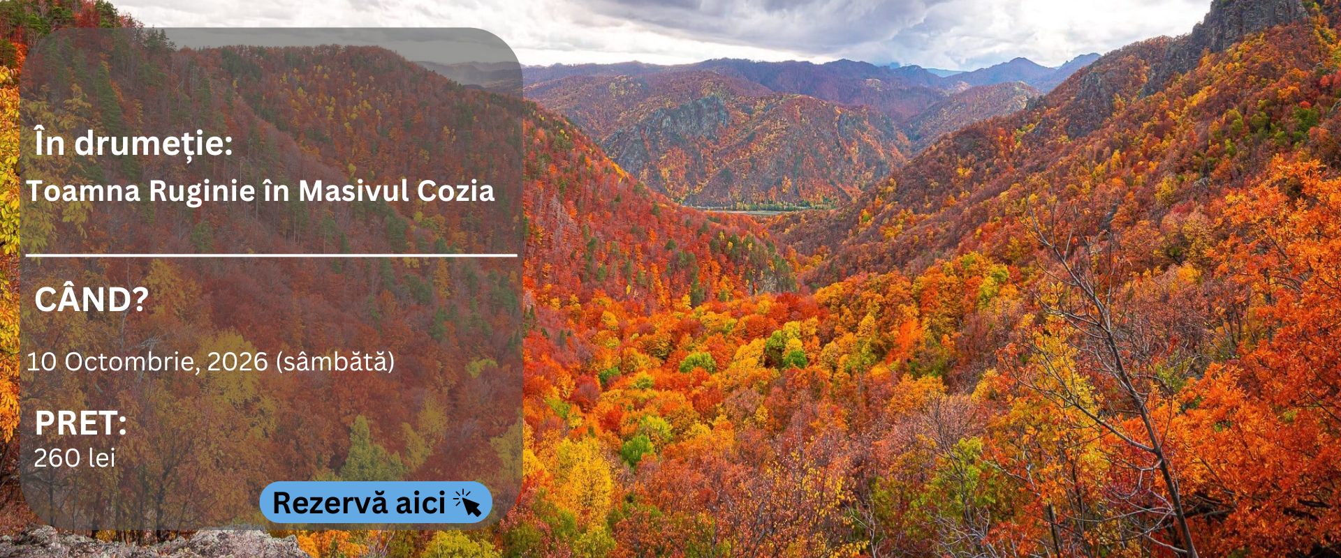 cozia