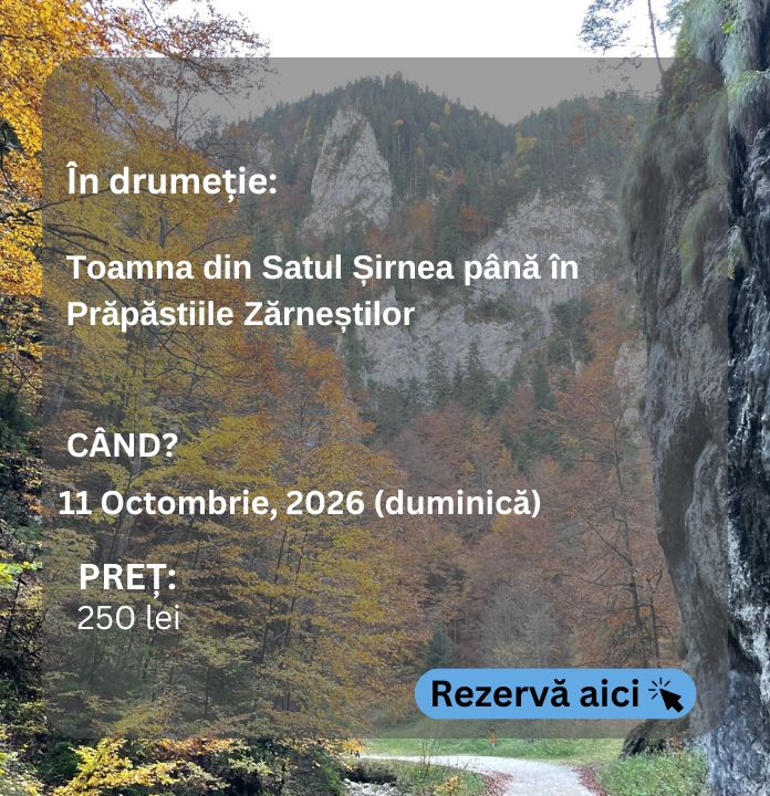 sirnea