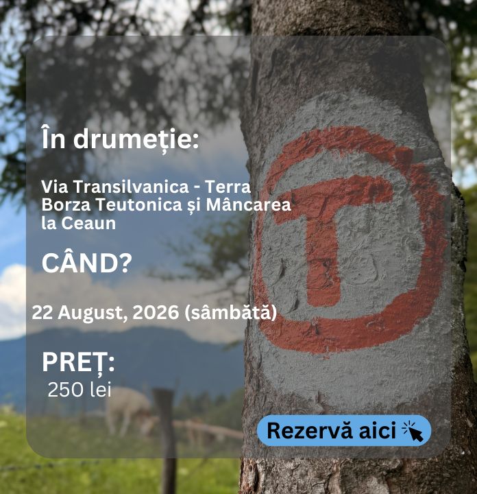 transilvanica
