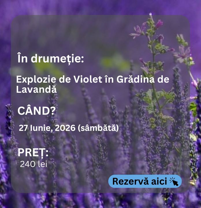 lavanda