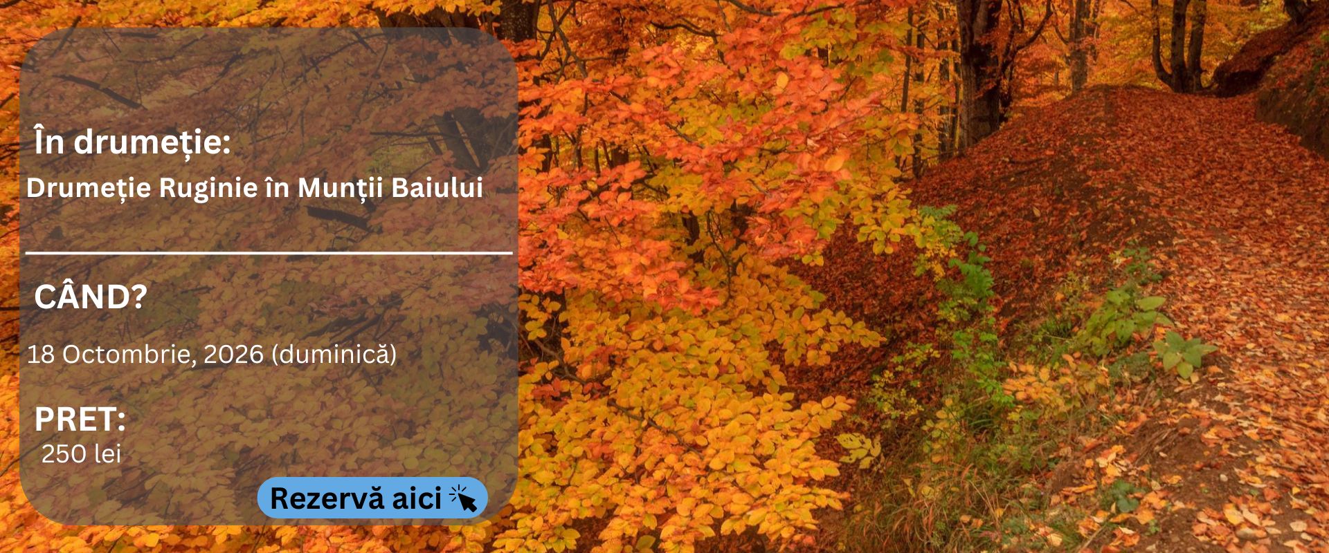 baiului