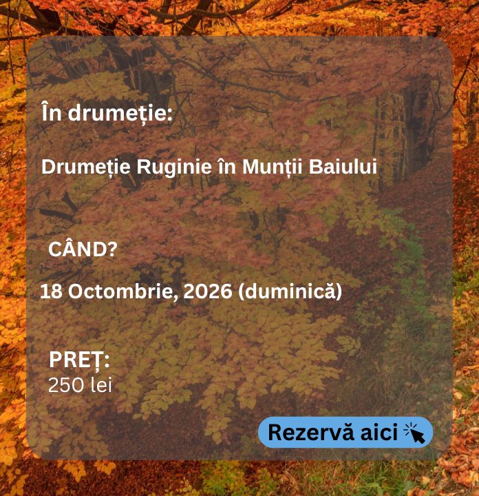 baiului