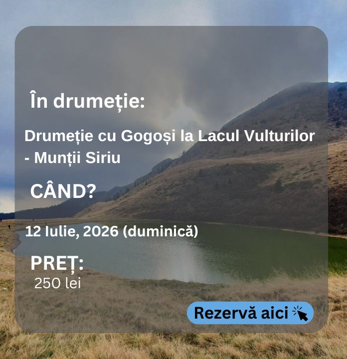 vulturi