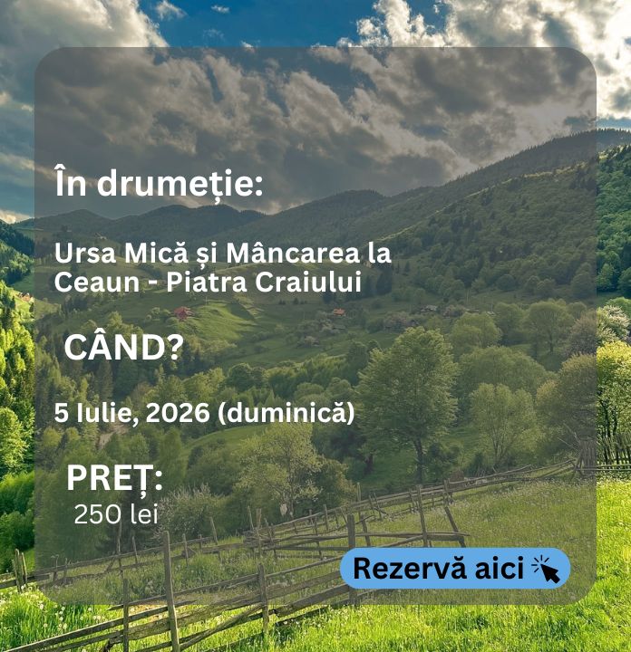 ursa mica