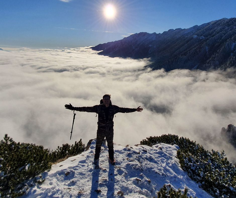 Galerie imagini Galerie imagini