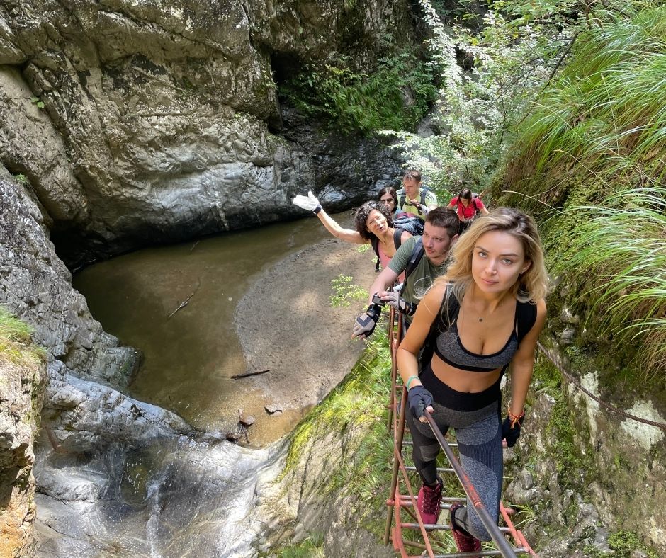 Galerie imagini Galerie imagini