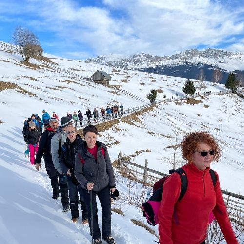 Iarna la Amfiteatrul Transilvaniei și Plaiul Bisericuței [2]