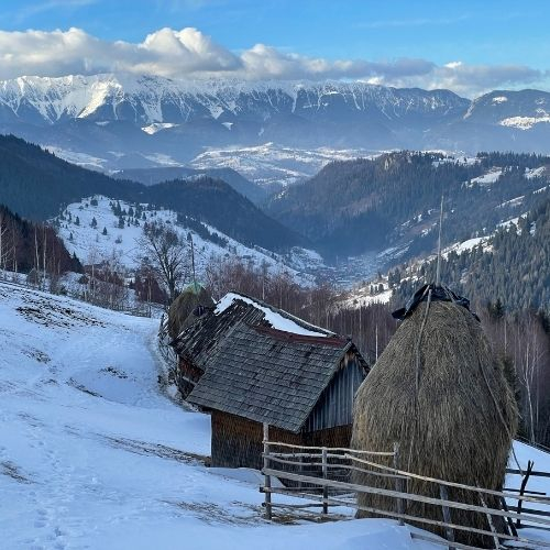 Iarna la Amfiteatrul Transilvaniei și Plaiul Bisericuței [3]