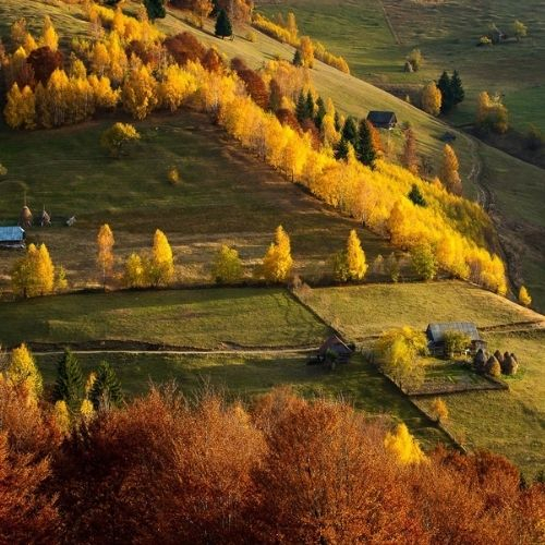 Amurg de Toamnă prin Poiana Mărului [3]